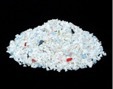 glas005